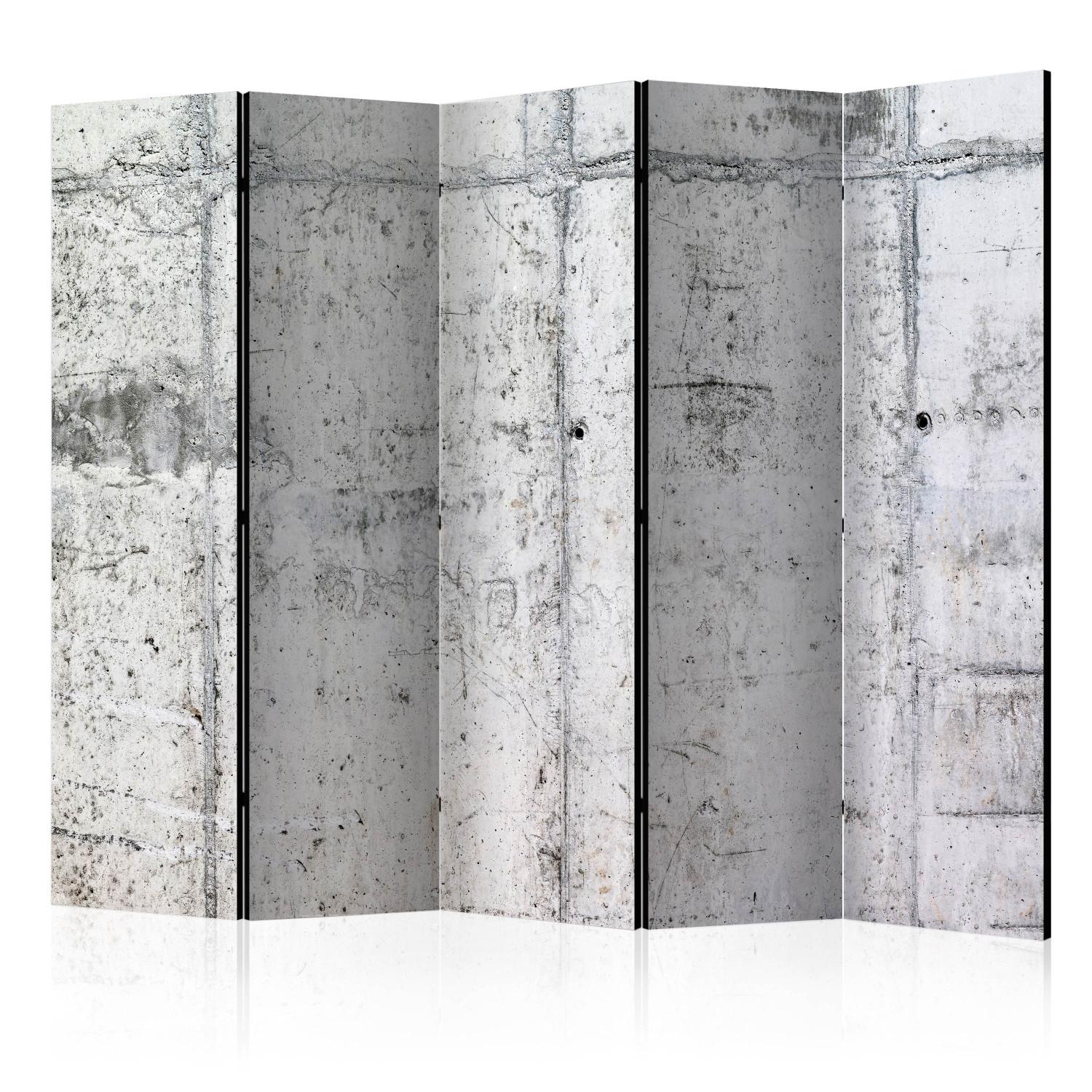 Room Divider Concrete Wall II - urban texture of light gray concrete