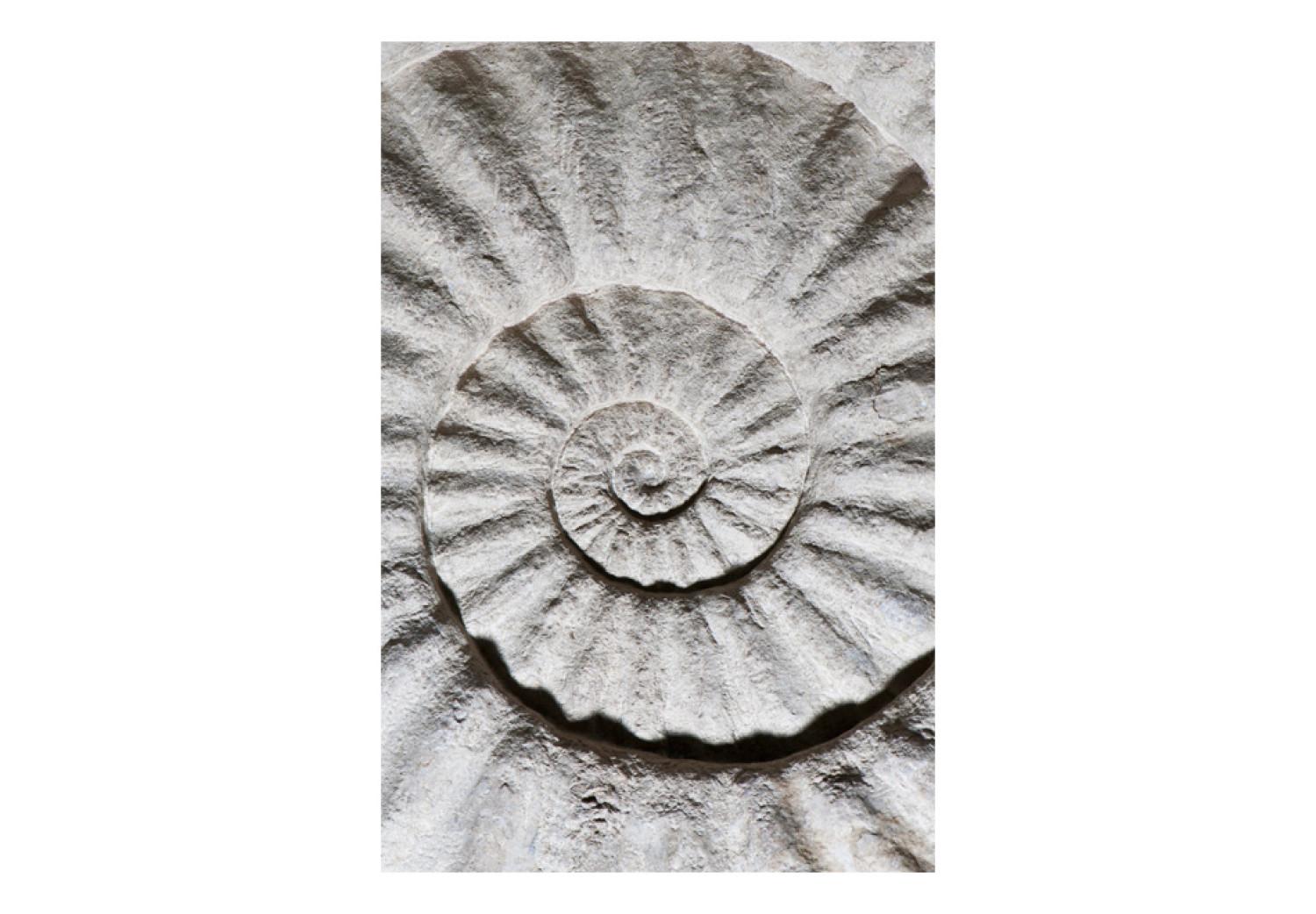 Wall Mural Shell abstraction - beige sea motif with close-up on fossils