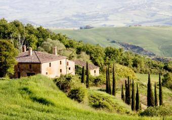 Wall Mural Under the sun of Tuscany - hillside landscape with trees in Italy with a house