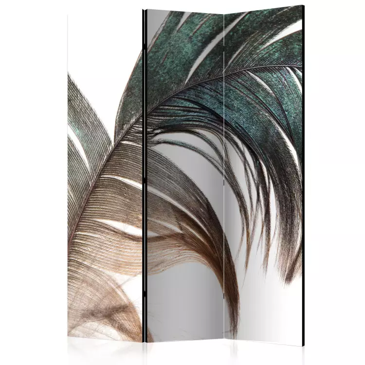 Beautiful Feather - colorful feather on white background in romantic motif