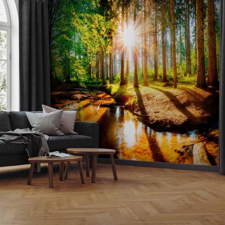 Wall Mural Marvelous Forest
