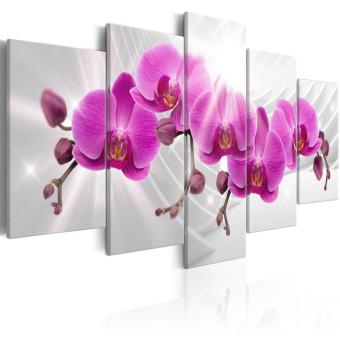 Canvas Abstract Garden: Pink Orchids