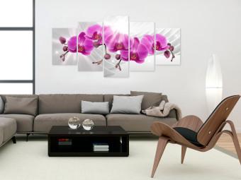 Canvas Abstract Garden: Pink Orchids