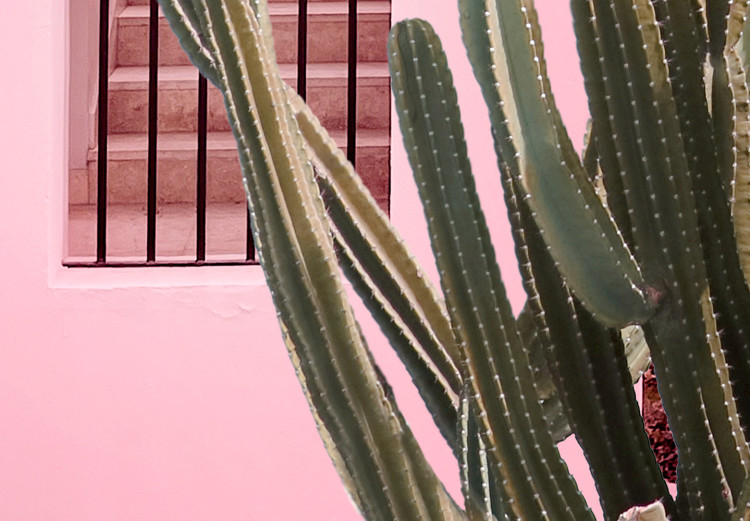 Poster Miami Cactus - A Pink Holiday Home Against a Blue Sky and Light 144500 additionalImage 8