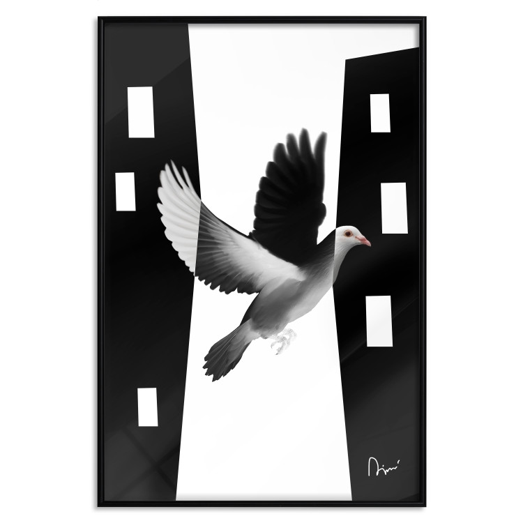 Poster White Dove [Poster] 149100 additionalImage 15