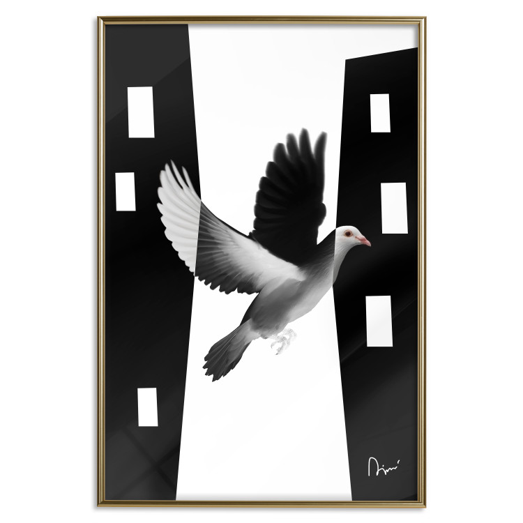 Poster White Dove [Poster] 149100 additionalImage 18