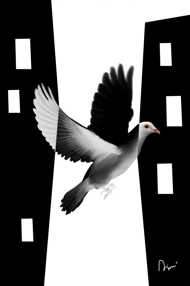 Poster White Dove [Poster] 149100