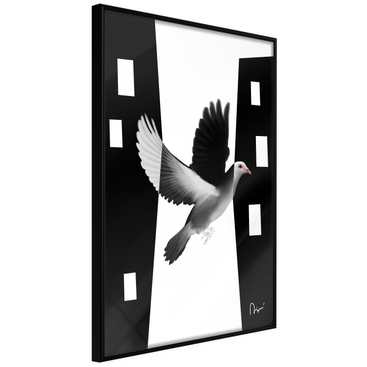 Poster White Dove [Poster] 149100 additionalImage 9