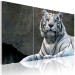 Canvas White tiger 58600 additionalThumb 2