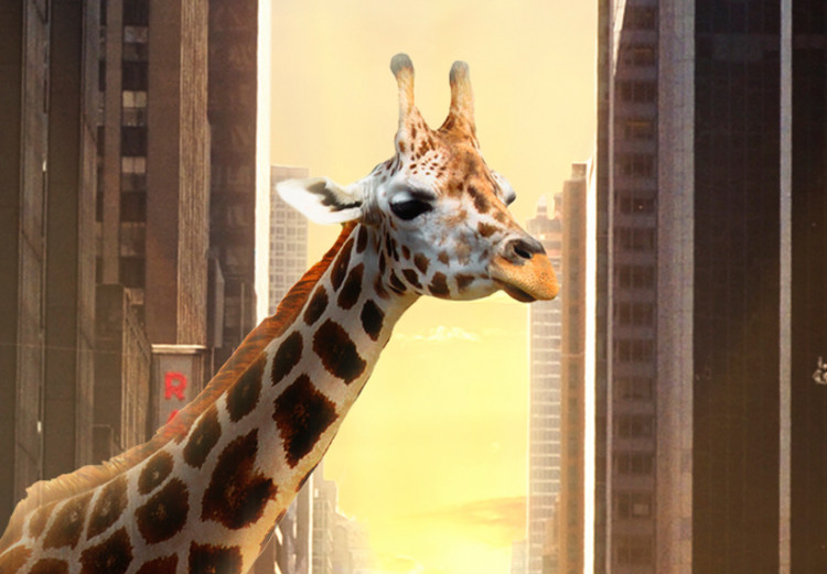 Canvas Giraffe in the big city 55720 additionalImage 4