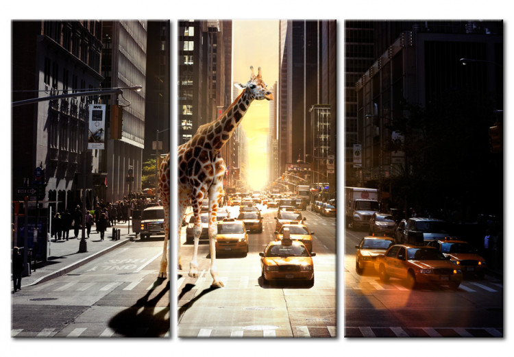 Canvas Giraffe in the big city 55720