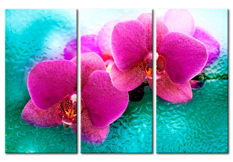 Canvas Turquoise and orchid 58720