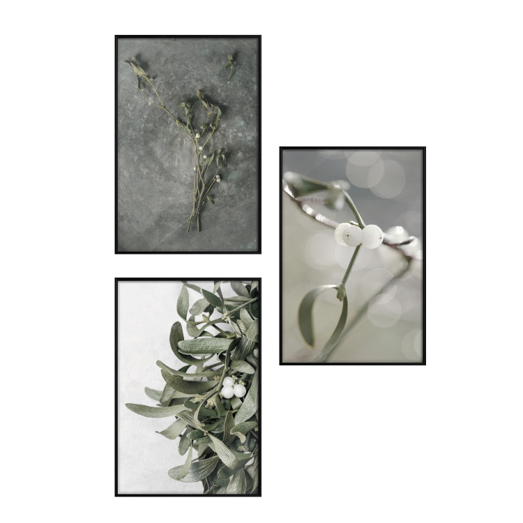 Gallery wall Winter plant 132340 additionalImage 1
