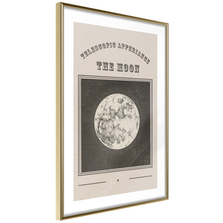 Poster Moon View - Illustration Stylized as an Old Engraving From the Album 146140 additionalImage 7