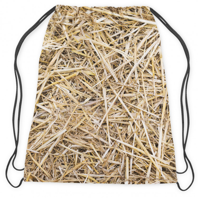 Backpack Barn accommodation - a pattern imitating straw surface 147440 additionalImage 2
