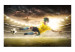 Wall Mural Brazilian Football - Match on a stadium with a soccer player for a teenager 61140 additionalThumb 1