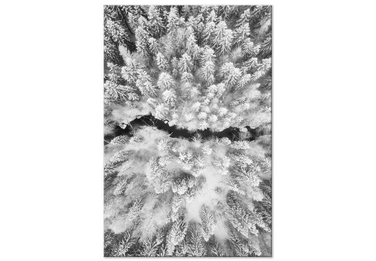 Canvas Bird's eye winter forest view - black and white winter landscape photo 123360