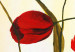 Canvas Spring Tulips (1-piece) - Red flowers on a creamy background 48660 additionalThumb 2