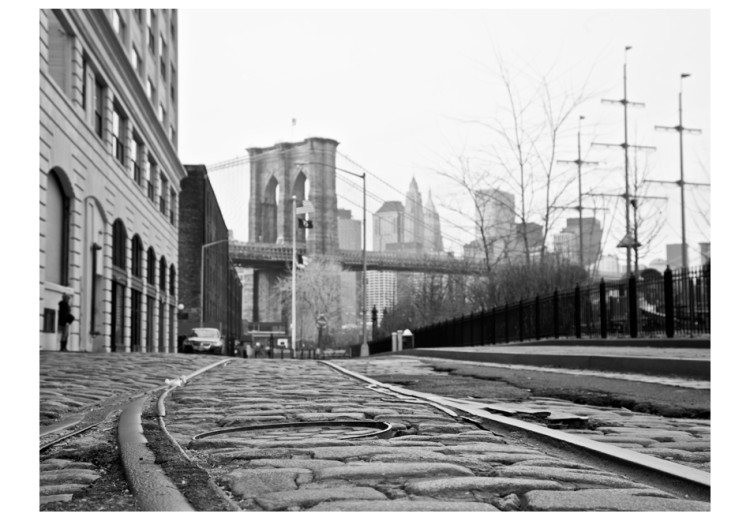 Wall Mural New York in Grayscale - Architecture against the Background of the Brooklyn Bridge 61570 additionalImage 1
