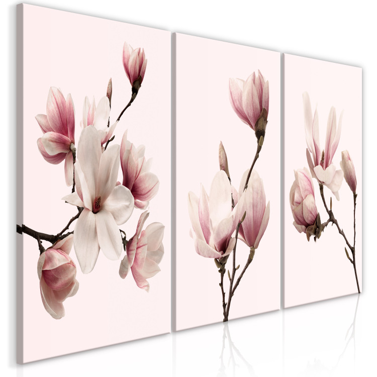 Canvas Spring Magnolias (3 Parts) 118380 additionalImage 2