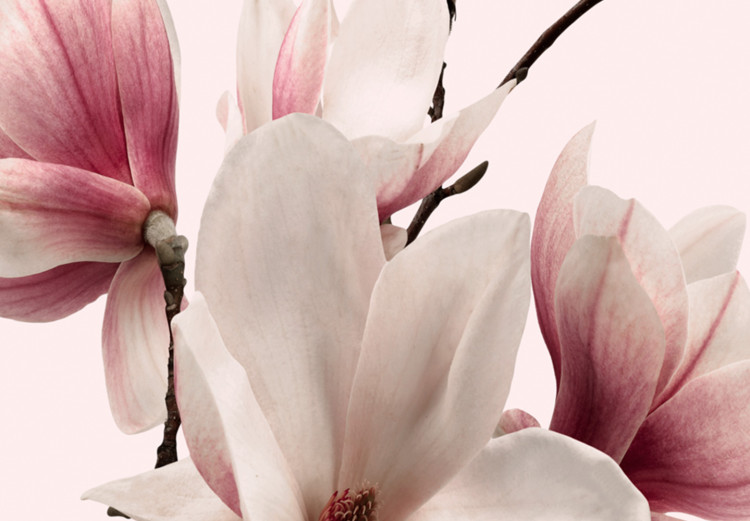 Canvas Spring Magnolias (3 Parts) 118380 additionalImage 4
