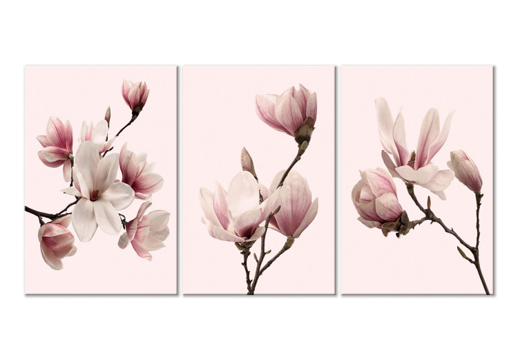 Canvas Spring Magnolias (3 Parts) 118380