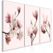 Canvas Spring Magnolias (3 Parts) 118380 additionalThumb 2