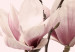 Canvas Spring Magnolias (3 Parts) 118380 additionalThumb 5