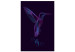 Canvas Free Bird (1-part) - Hummingbird with "Fly" Text on Purple Background 117201