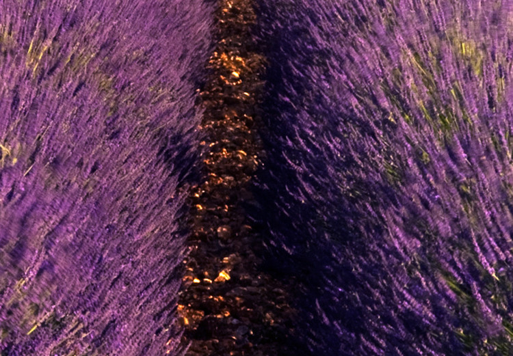 Canvas Lavender Field (1 Part) Wide 125001 additionalImage 4