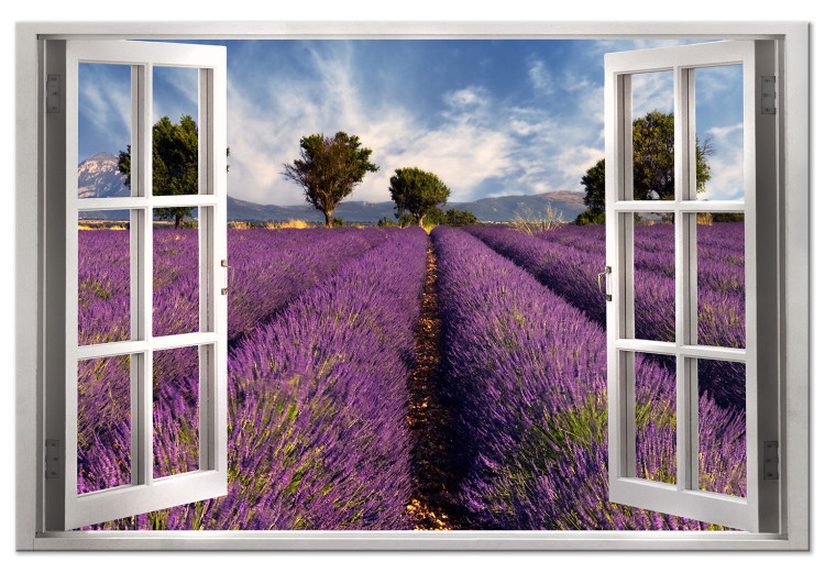 Canvas Lavender Field (1 Part) Wide 125001