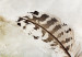 Wall Mural Gentle float - abstract motif of birds' feathers in the wind 137901 additionalThumb 4