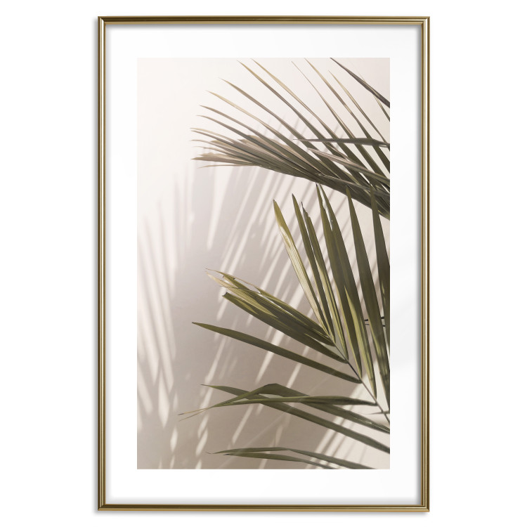Poster Palm Leaves - Sunny View With a Peaceful Play of Shade and Light 145301 additionalImage 19
