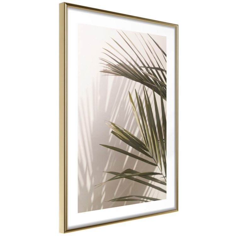Poster Palm Leaves - Sunny View With a Peaceful Play of Shade and Light 145301 additionalImage 14