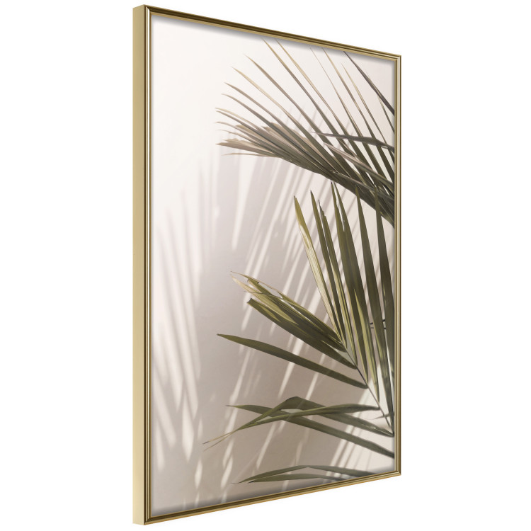 Poster Palm Leaves - Sunny View With a Peaceful Play of Shade and Light 145301 additionalImage 7