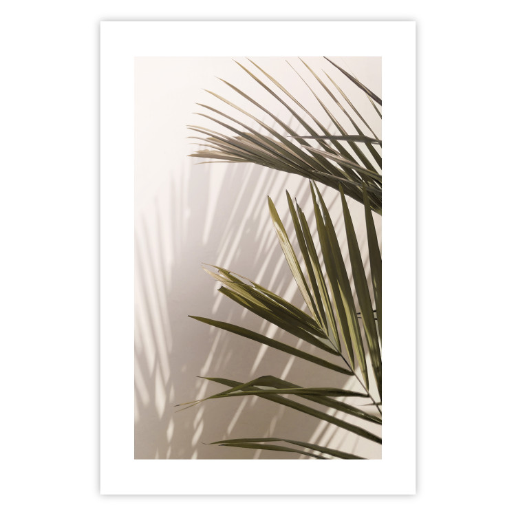 Poster Palm Leaves - Sunny View With a Peaceful Play of Shade and Light 145301 additionalImage 20