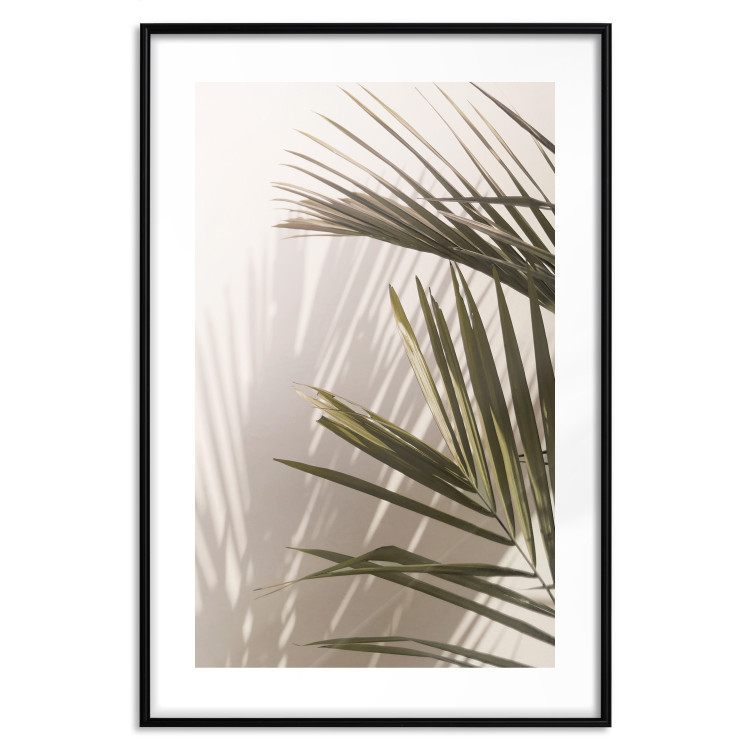 Poster Palm Leaves - Sunny View With a Peaceful Play of Shade and Light 145301 additionalImage 4
