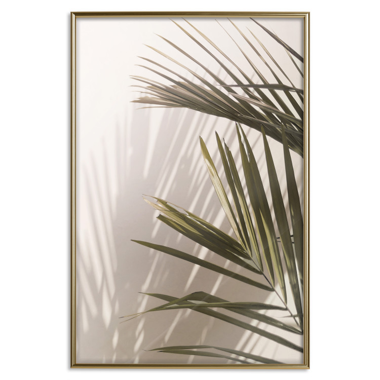 Poster Palm Leaves - Sunny View With a Peaceful Play of Shade and Light 145301 additionalImage 18