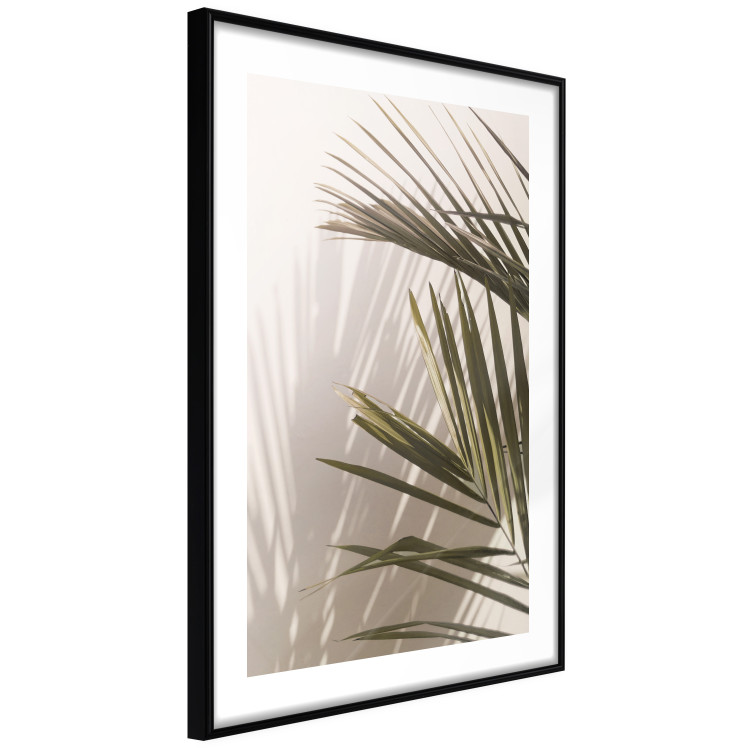 Poster Palm Leaves - Sunny View With a Peaceful Play of Shade and Light 145301 additionalImage 5