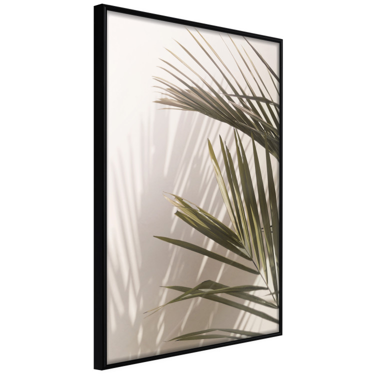 Poster Palm Leaves - Sunny View With a Peaceful Play of Shade and Light 145301 additionalImage 9
