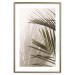 Poster Palm Leaves - Sunny View With a Peaceful Play of Shade and Light 145301 additionalThumb 19