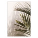 Poster Palm Leaves - Sunny View With a Peaceful Play of Shade and Light 145301