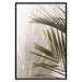 Poster Palm Leaves - Sunny View With a Peaceful Play of Shade and Light 145301 additionalThumb 17