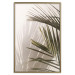 Poster Palm Leaves - Sunny View With a Peaceful Play of Shade and Light 145301 additionalThumb 18
