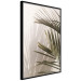 Poster Palm Leaves - Sunny View With a Peaceful Play of Shade and Light 145301 additionalThumb 9
