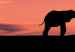 Canvas African elephants family 58801 additionalThumb 4