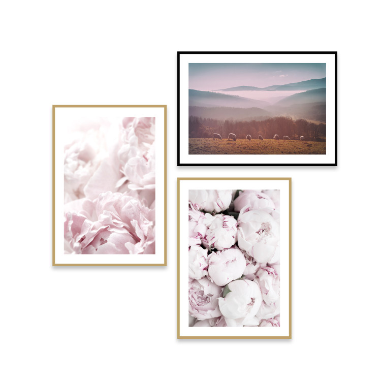 Gallery wall Pink peonies 129311 additionalImage 1