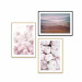 Gallery wall Pink peonies 129311 additionalThumb 1