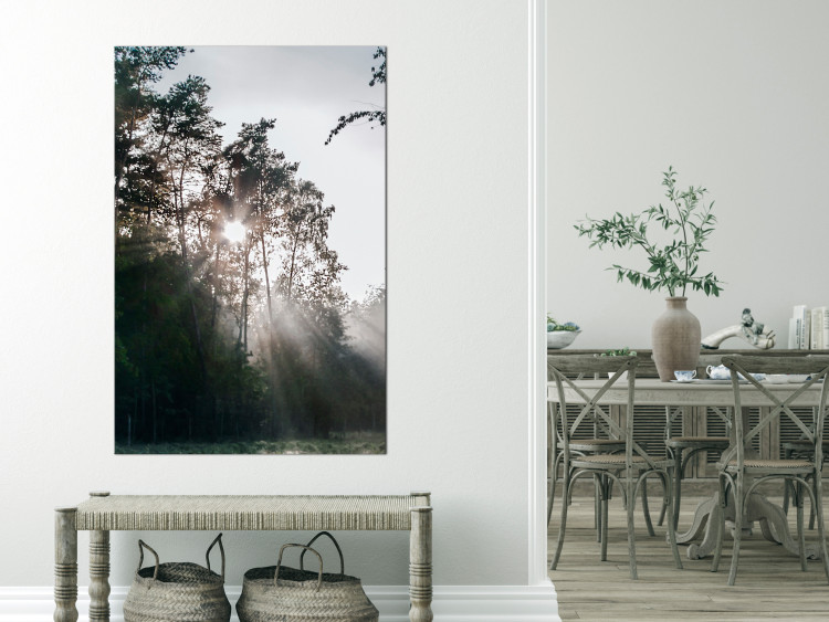 Canvas Sun get through the trees - photo of a forest landscape 137211 additionalImage 3