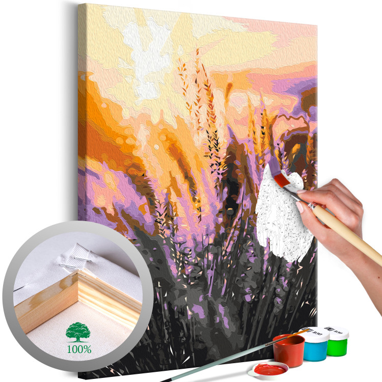 Paint by Number Kit Romantic Meadow - Delicate Golden Grass at Sunset 145211